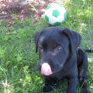 Meet your Posher, Florence